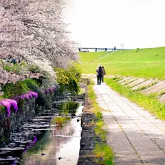 津之江公園