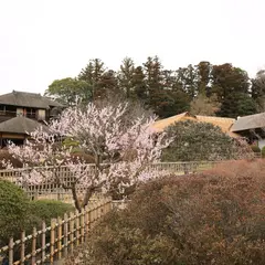 偕楽園公園