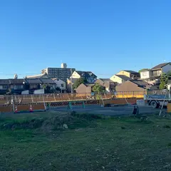 西寺五重塔跡