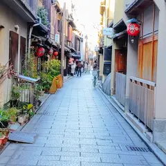 丸梅