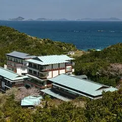 芭新萃