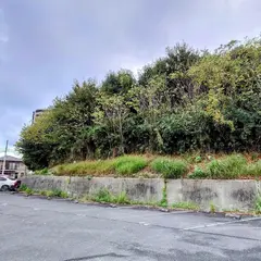 丸山古墳