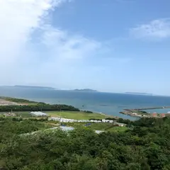 野鳥の森自然公園