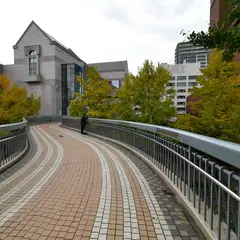 ポーリン橋