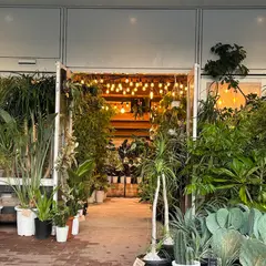 エスボタニカル