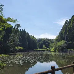 岩川池(山王台公園)