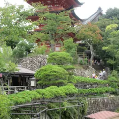 龍髯の松