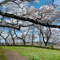 館山公園