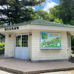 面白山高原駅