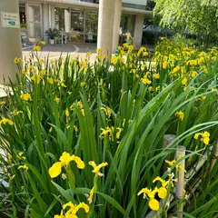 西原せせらぎ公園