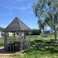 綿半 ドッグラン