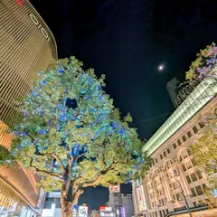 なんば広場