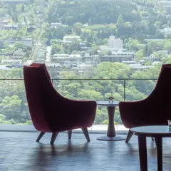 HAKONE NICA