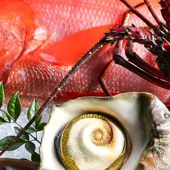 花のおもてなし 南楽