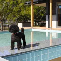 別邸 わんこ日和