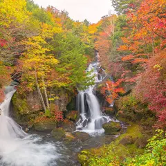 奥日光湯元レイクリゾート