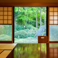 楓乃木