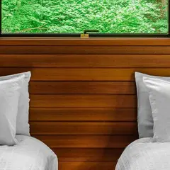 The Phoenix Hotel & Chalets