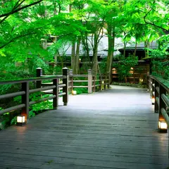 仙仁温泉 岩の湯