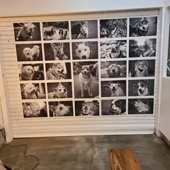 BBB gallery
