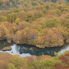鶴間池