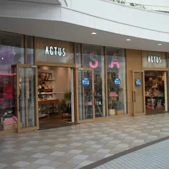 アクタス・立川店