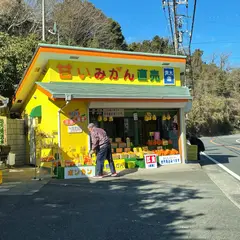 青木園みかん直売所