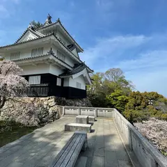 ポケふた 豊橋(バクフーン)