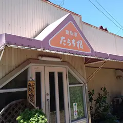 たらち根