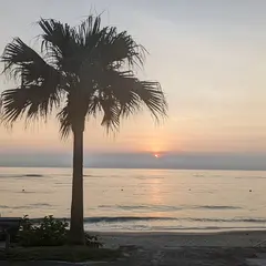 奄美群島国立公園
