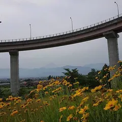 桃花橋公園