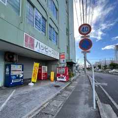 ニコニコレンタカー 那覇奥武山公園駅店