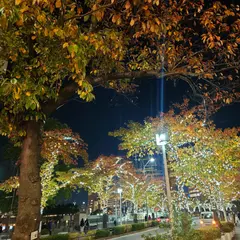 さくら通り