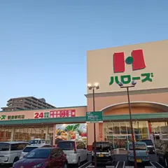 ハローズ 観音新町店