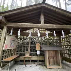 縁結びの木