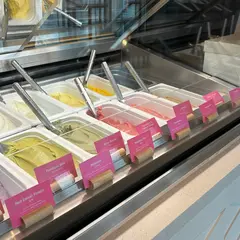 JAM17 GELATERIA