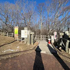 釧路市湿原サテライト展望台