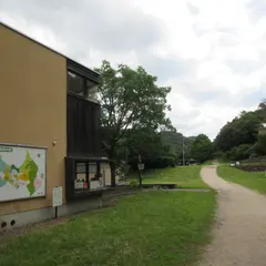 長船美しい森