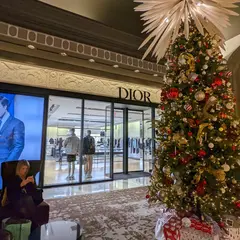 Christian Dior