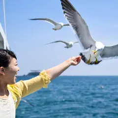 （株）志津川湾観光船