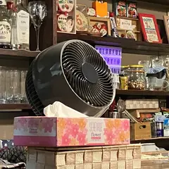 洋食酒場 カラフル