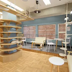 猫カフェ 猫喫茶 空陸家 池袋西口店