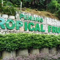 Tropical Fruit Farm