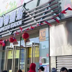 Taipei Zoo Station