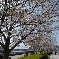 海岸通り