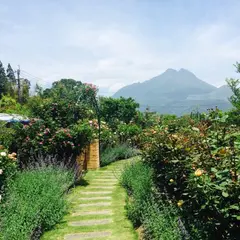 湯布院ローズガーデン(ホテル森のテラス所有 ROSE GARDEN produced by hotel morino terrace）