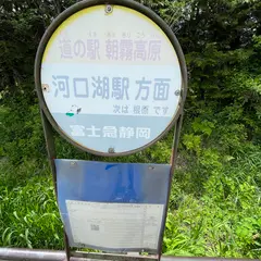 道の駅朝霧高原