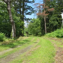 旧羽州街道日当たりの松並木
