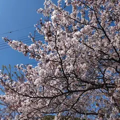 鹿島・扇平自然公園