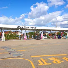 PETRAS セルフかほく店